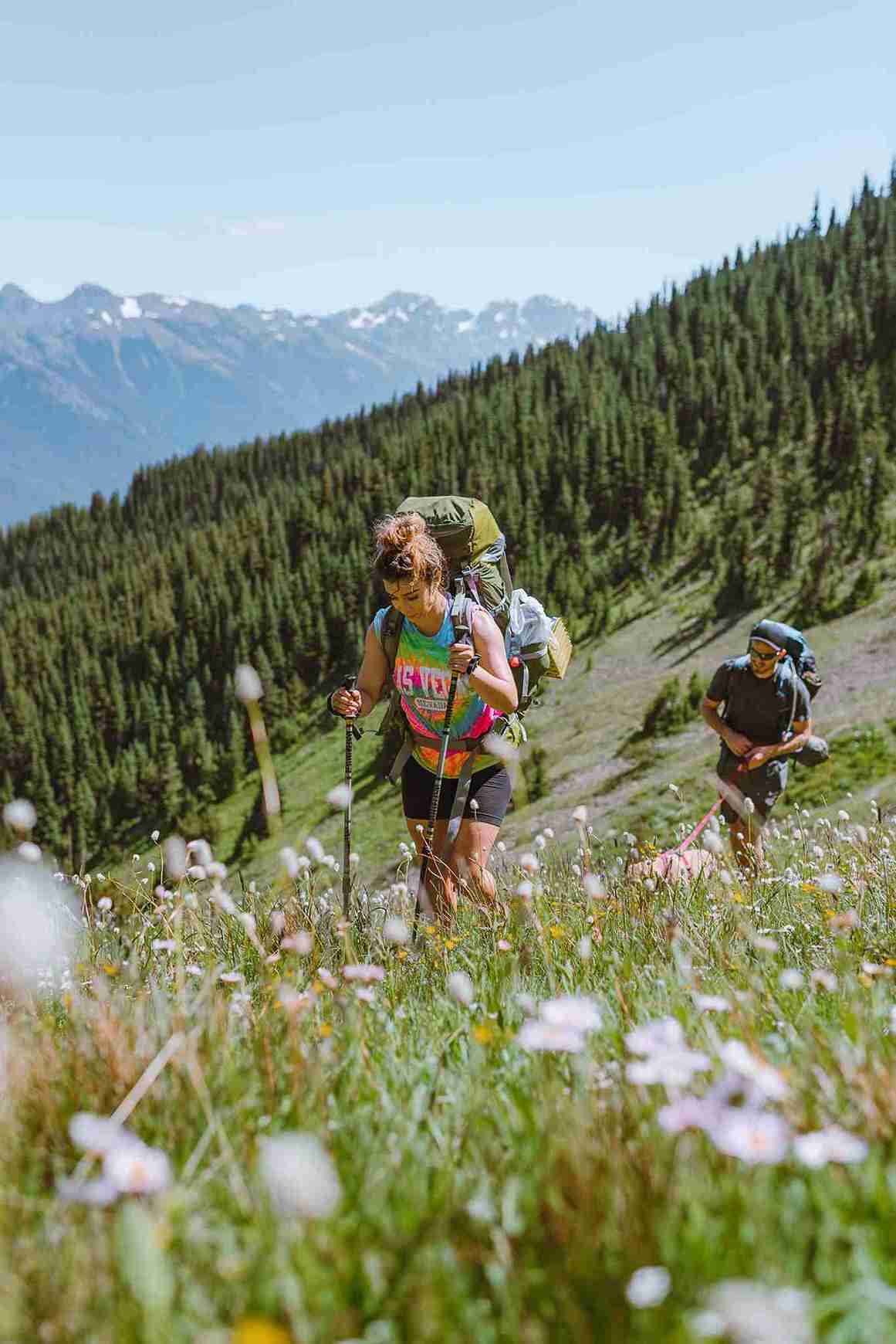 Baldy Peak