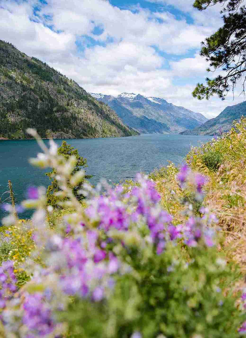 Chelan Lakeshore Trail