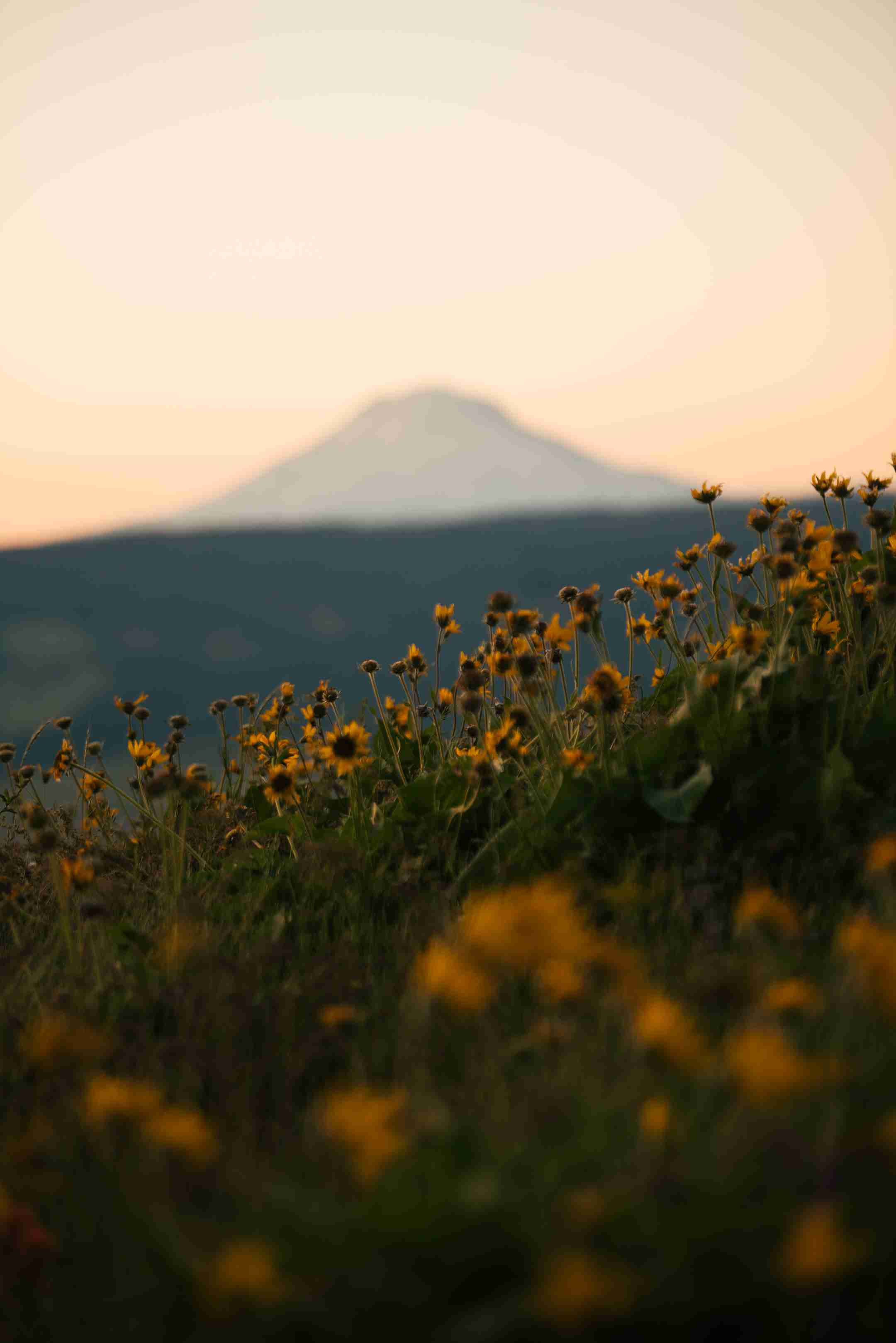Columbia River Gorge